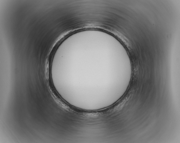 X0000112201126200908281434