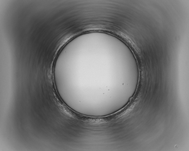 X0000112201129200908281434