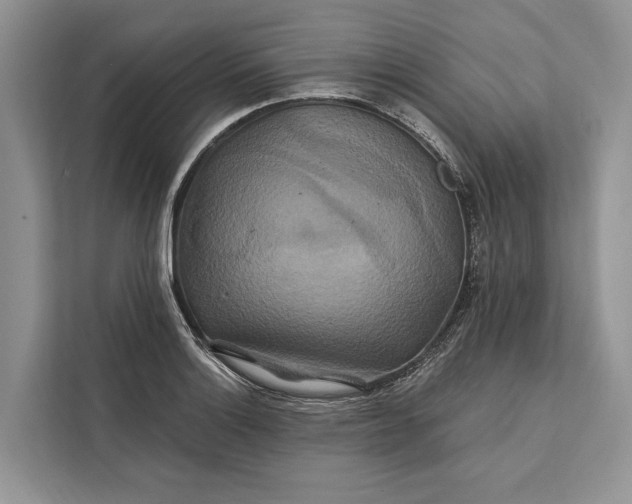 X0000112201132200908281434