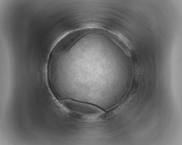 X0000112201134200908281434