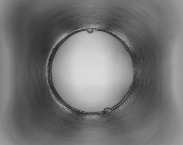 X0000112201135200908281434