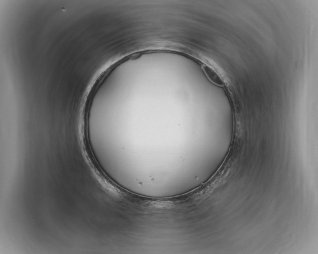 X0000112201136200908281434