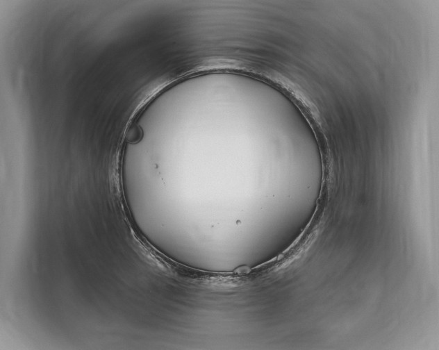 X0000112201137200908281434