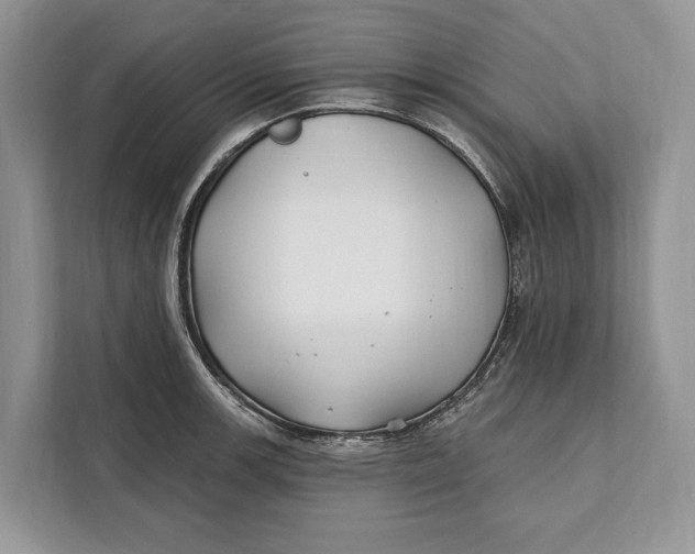 X0000112201139200908281434