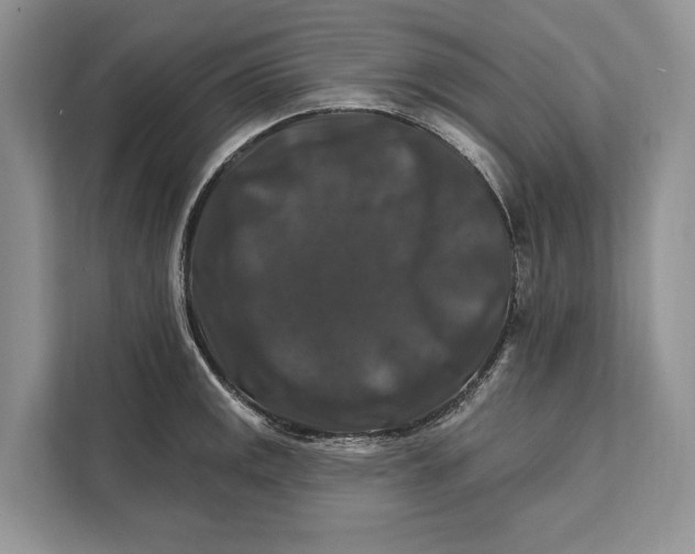 X0000112201141200908281434