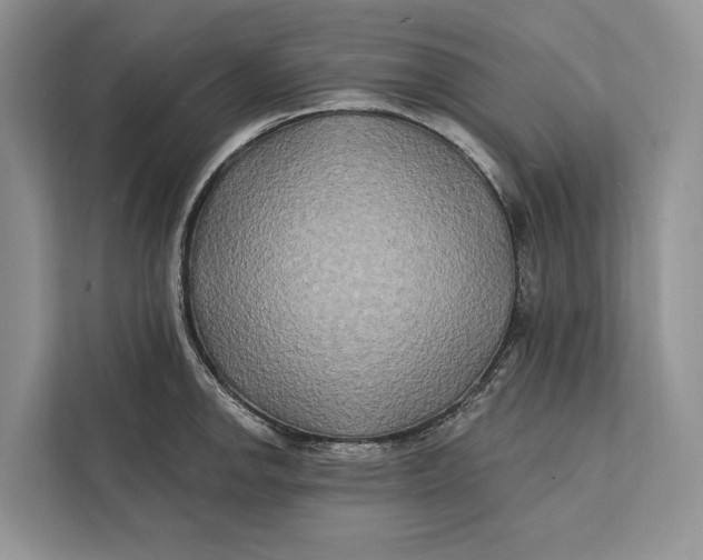 X0000112201142200908281434