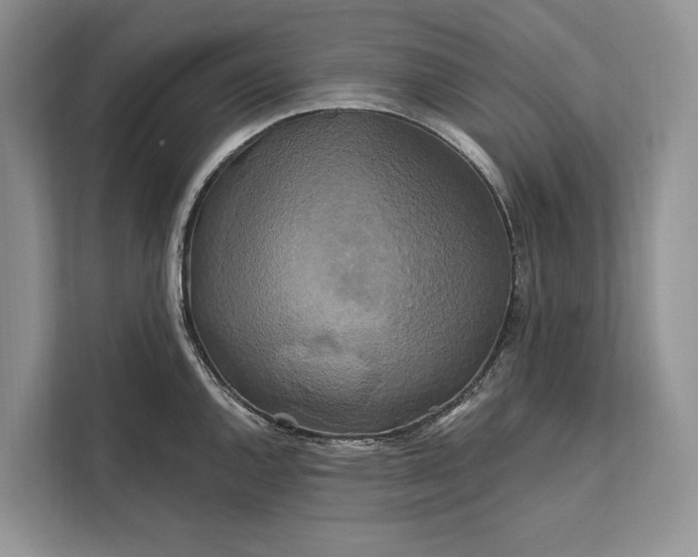 X0000112201144200908281434