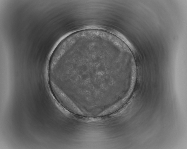 X0000112201148200908281434