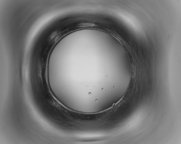 X0000112201151200908281434