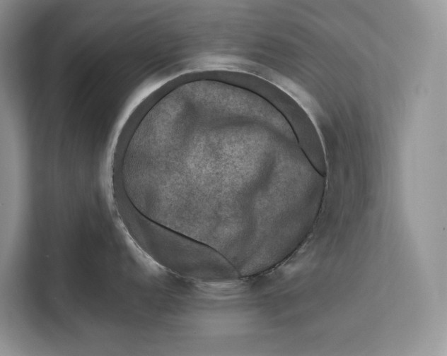 X0000112201152200908281434