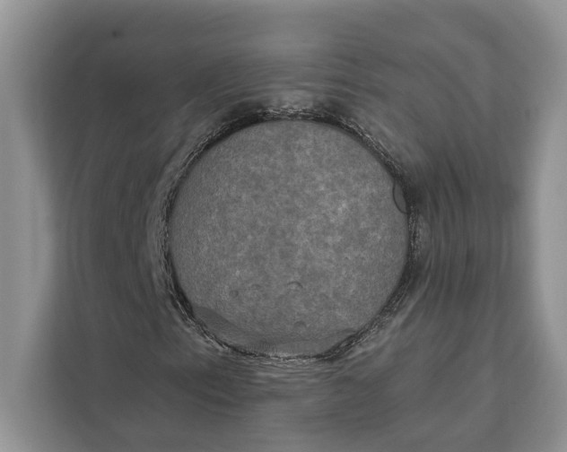 X0000112201153200908281434