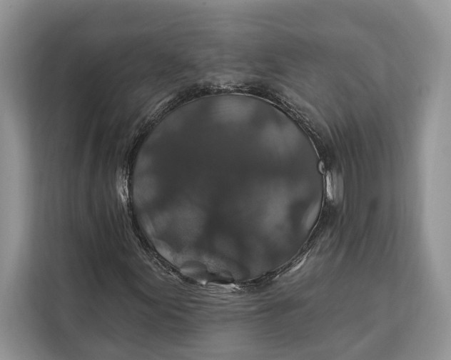 X0000112201155200908281433