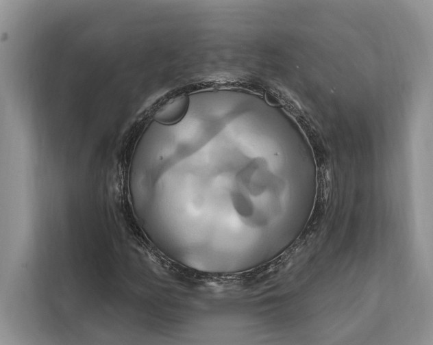 X0000112201158200908281433