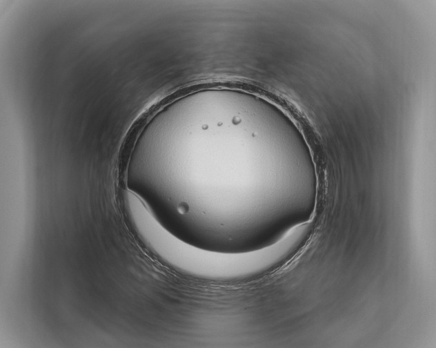 X0000112201165200908281433