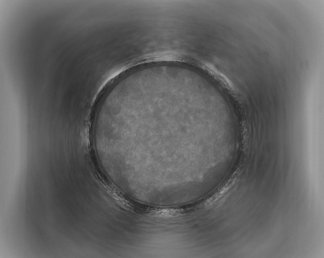 X0000112201166200908281433