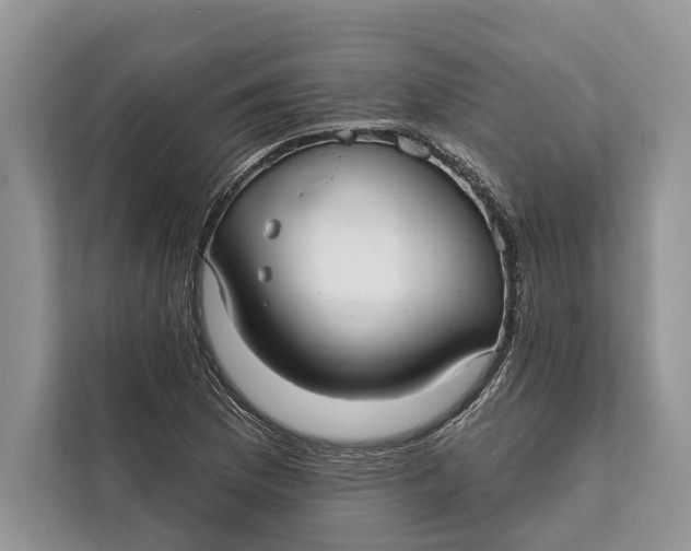 X0000112201169200908281433