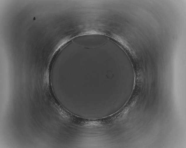 X0000112201173200908281433