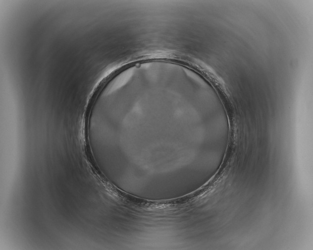 X0000112201174200908281433