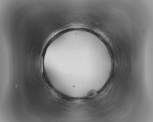 X0000112201175200908281433