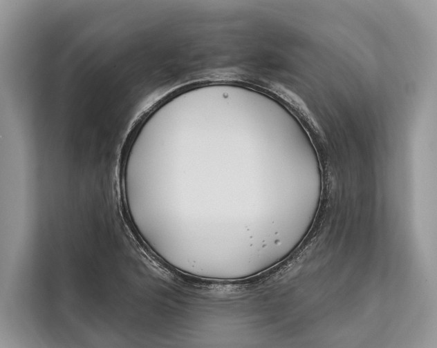 X0000112201176200908281433