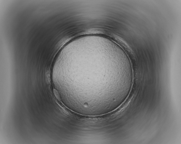 X0000112201177200908281433