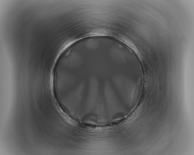 X0000112201179200908281433