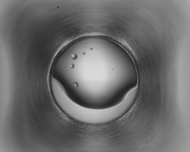 X0000112201181200908281433