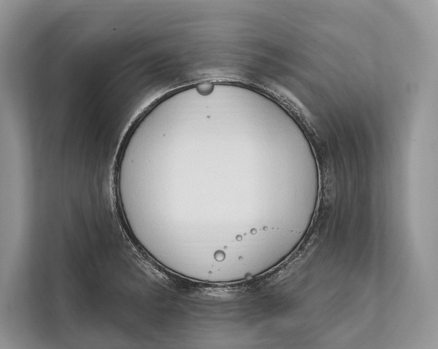 X0000112201182200908281433