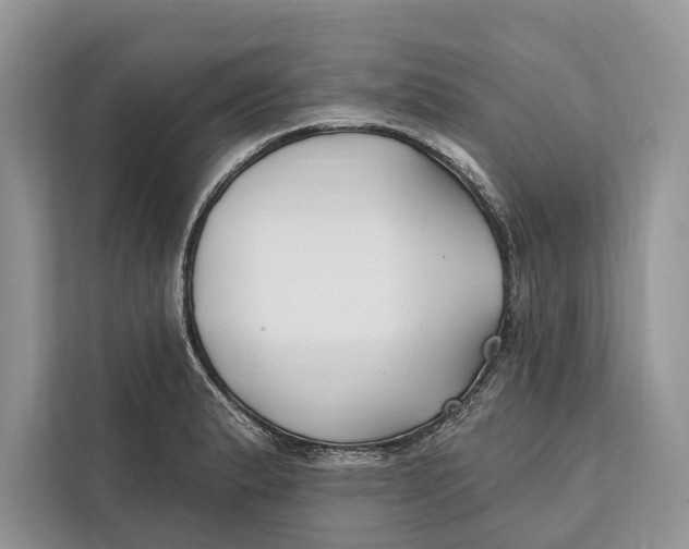 X0000112201183200908281433