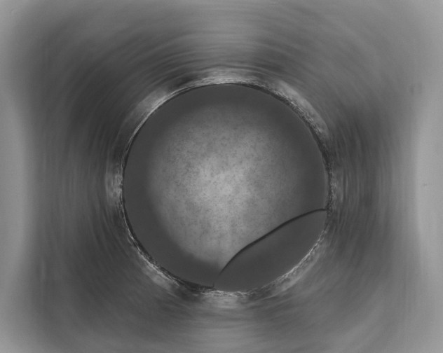 X0000112201185200908281433