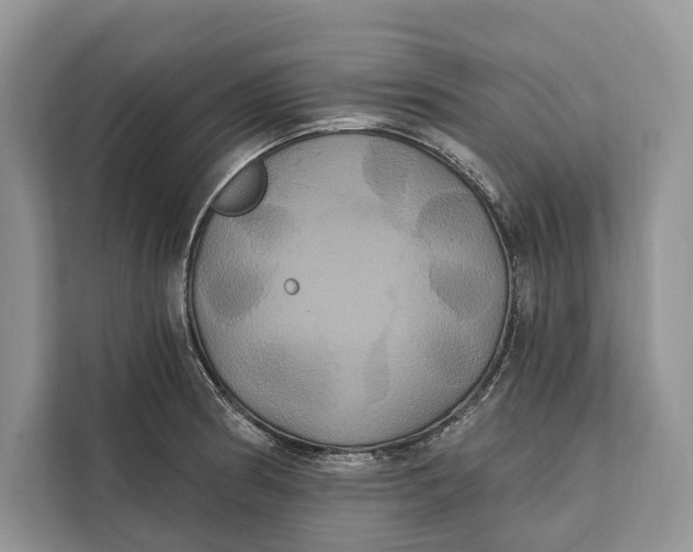 X0000112201186200908281433