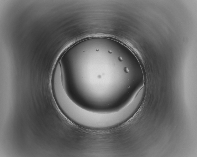 X0000112201189200908281433