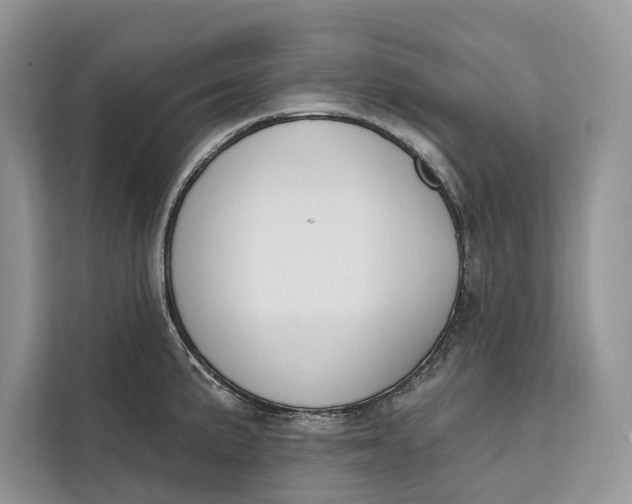 X0000112201191200908281433