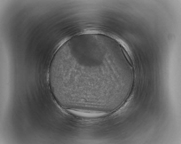 X0000112201193200908281433