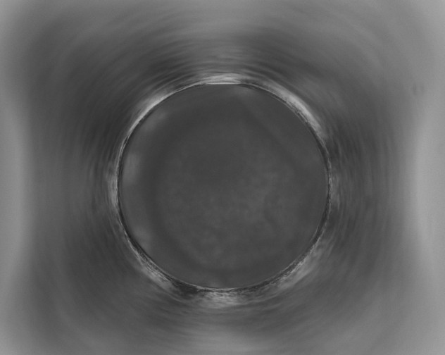 X0000112201194200908281433