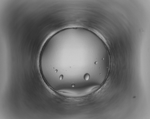 X0000112201197200908281433