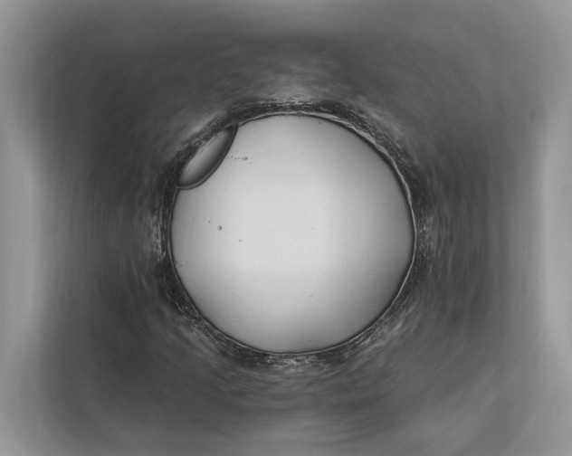 X0000112201205200908281432