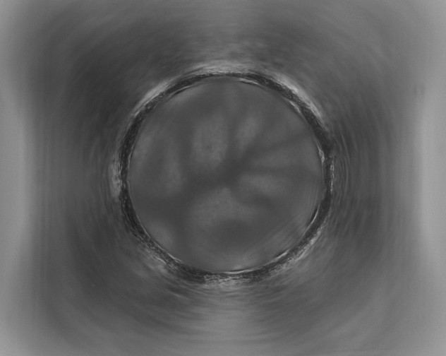 X0000112201213200908281432