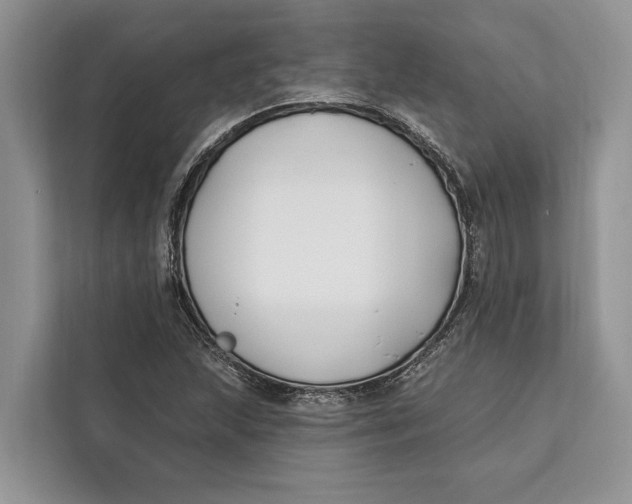 X0000112201215200908281432