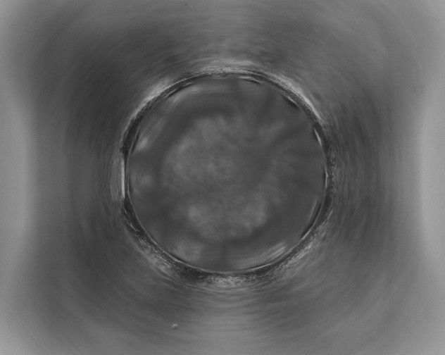 X0000112201219200908281433