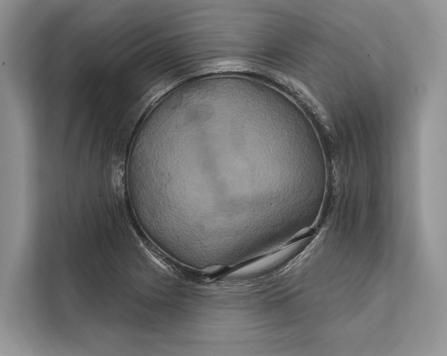 X0000112201225200908281433