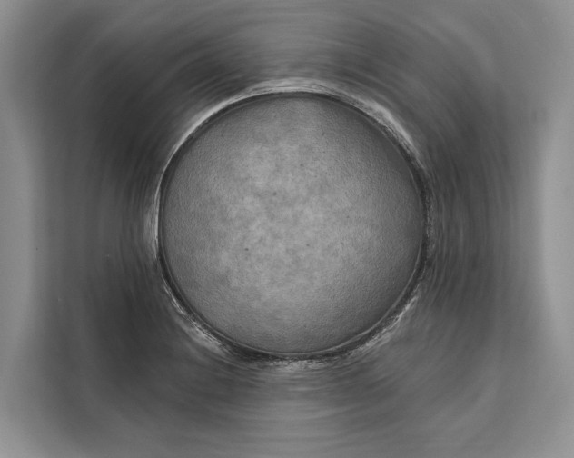 X0000112201228200908281433