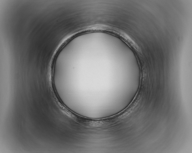 X0000112201232200908281433