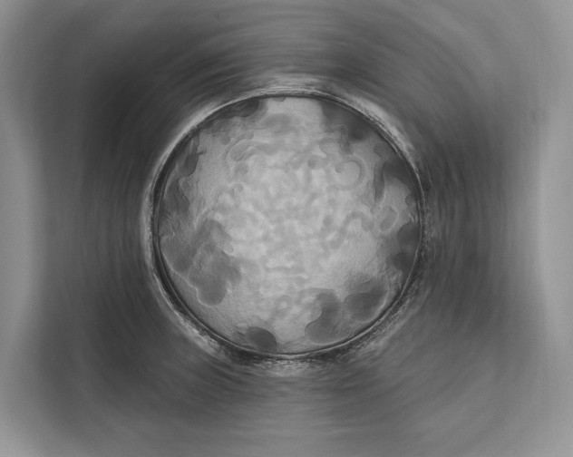 X0000112201235200908281433