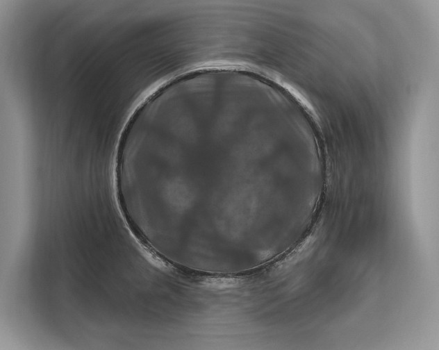 X0000112201237200908281433