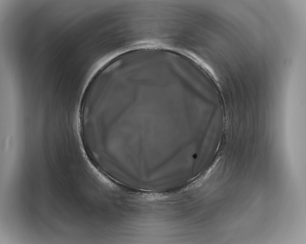 X0000112201239200908281433