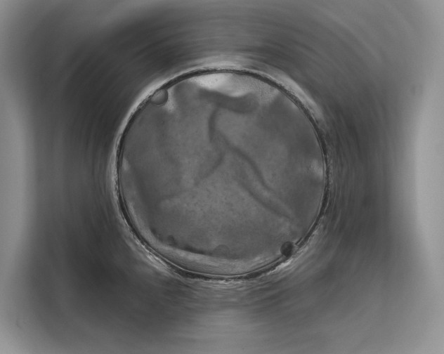 X0000112201240200908281433