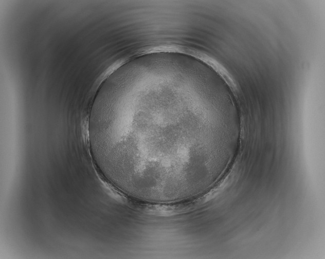 X0000112201241200908281433