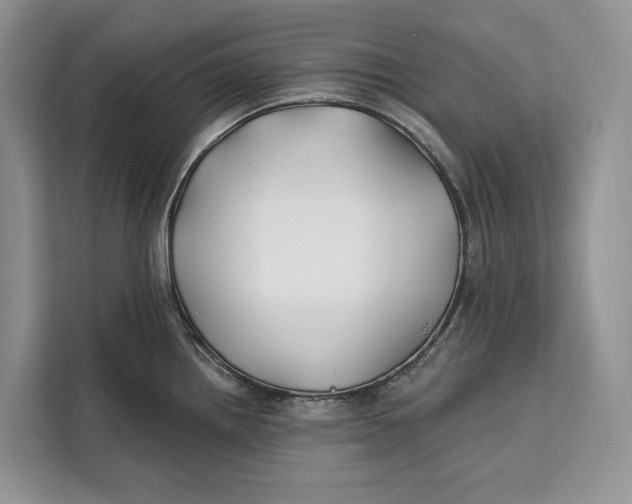 X0000112201242200908281433