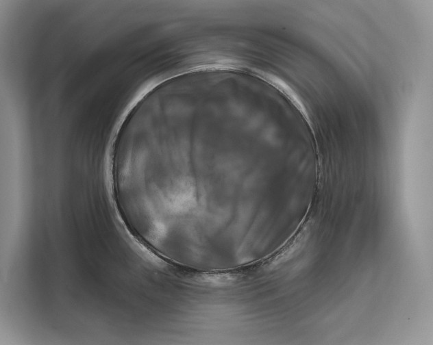 X0000112201243200908281433